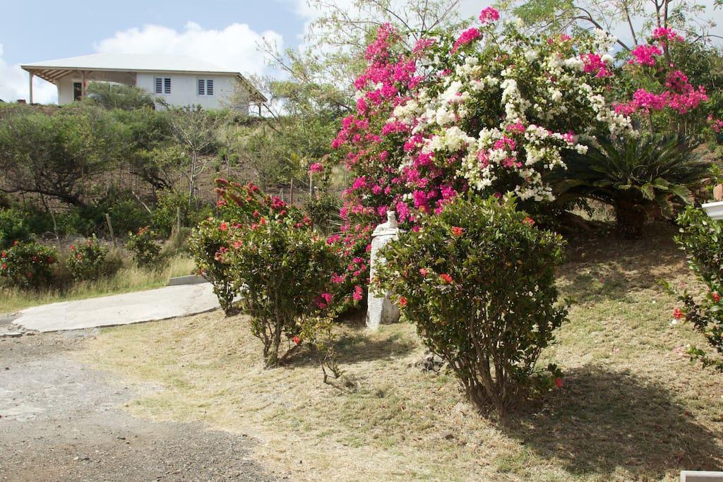Appartement Vacances Goyave Cap Chevalier Exteriér fotografie