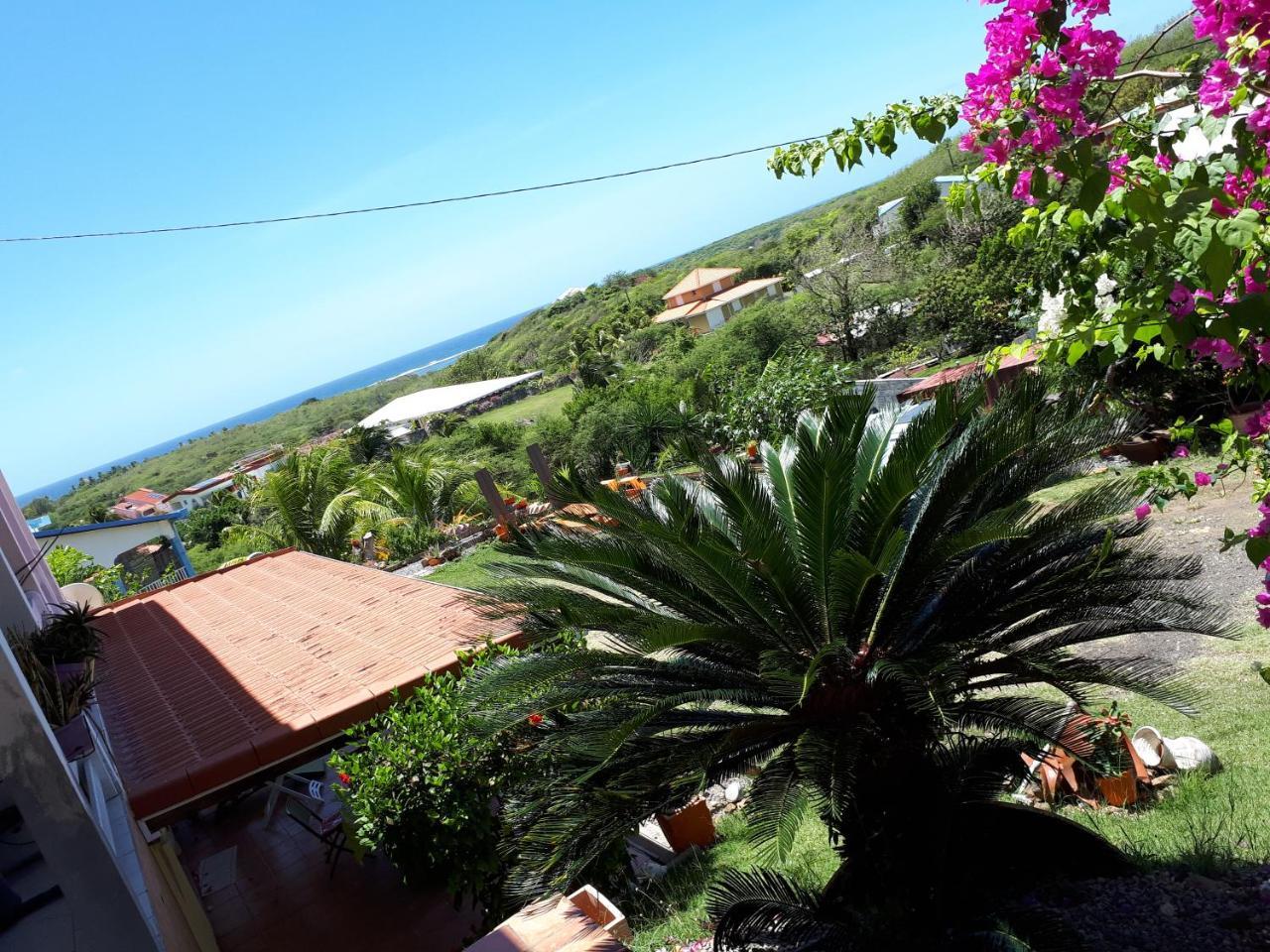 Appartement Vacances Goyave Cap Chevalier Exteriér fotografie